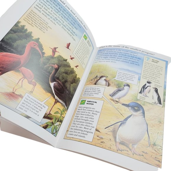 VINTAGE 1992 Kingfisher Wild World Of Animals: Seashore Illustrated Kid's Book - Picture 3 of 6